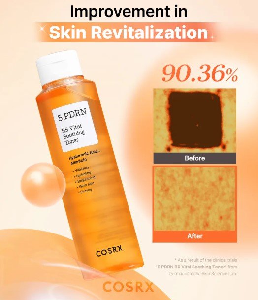 5 PDRN B5 Vital Soothing Toner 280ml - Korean Beauty Avenue